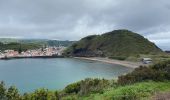 Tocht Stappen Horta (Angústias) - Horta, Faial: Monte Queimado et Monte da Guia (PRC 08 FAI) - Photo 9