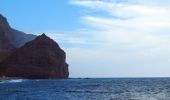 Tocht Te voet La Aldea de San Nicolás - Ruta Playa de El Puerto - Photo 2