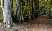 Trail Walking Profondeville - Les Bois de Lustin  - Photo 12