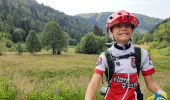 Tour Mountainbike Woll - la bresse lispacht - Photo 1