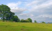 Trail Walking Theux - entre la ferme st Remacle et Hodbomont - Photo 3