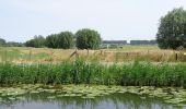 Randonnée A pied De Ronde Venen - NS-wandeling Gein en Vecht - Photo 7