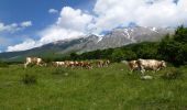 Tour Zu Fuß Campo di Giove - (SI P05) Campo di Giove - Roccacaramanico - Photo 1