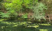 Trail Walking Bassenge - au départ du fort de Eden -Emael - Photo 2
