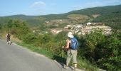 Tocht Stappen Esteribar - Camino Francés - Etp3 - Zubiri - Pamplona - Photo 3