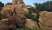 Trail Walking Calvi - Citadelle Calvi - Village - Notre dame de la Serra - Photo 4