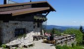 Excursión A pie Neuschönau - Luchs - Photo 1