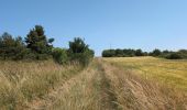 Percorso Marcia Reignac-sur-Indre - Reignac-sur-Indre - Cigogné - 15.6km 120m 4h10 (55mn) - 2025 06 18 - Photo 3