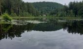 Trail Walking Philippsbourg - Le Rothenbourg - Photo 2