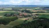 Percorso A piedi Geschaidt - Wegverbindung durch den Hermannswinkel - Photo 1