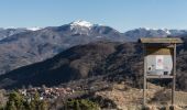 Trail On foot Fivizzano - Pratizzano - Collagna - Cerreto Alpi - Lago Pranda - Passo Crocetta - Photo 7