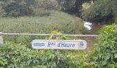 Trail Walking Somme-Leuze - Marche ADEPS à  Baillonville. Beau parcours de 10km400. - Photo 13