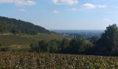 Tour Wandern Meursault - autour de MEURSAULT - Photo 1