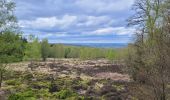 Tocht Stappen Nassogne - rando mochamps 27-04-2024 - Photo 6