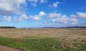 Trail Walking Le Touquet-Paris-Plage - tour du touquet - Photo 1