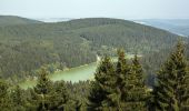 Excursión A pie Geratal - Rundwanderweg Lütsche-Flößgraben - Photo 9