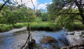 Tour Wandern Florenville - rando chassepierre 12-07-2023 - Photo 14