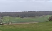 Randonnée Marche Vauchassis - Balade en forêt d'Hothe - Photo 3