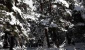 Tocht Sneeuwschoenen Modane - Loutraz Amodon - Photo 11