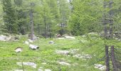Trail Walking Saint-Martin-Vésubie - Boreon, Refuge Cougourde, Lac Trecolpas - Photo 4