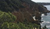 Tour  Saint-Cyr-sur-Mer - Sentier du littoral et des vigne - Photo 4