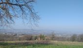 Trail Walking Chasselay - Chasselay chemin de Fromentin vers Limonest Mt Verdun - Photo 11