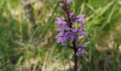 Tour Wandern Chorges - Circuit de Serre Cocu.  - Photo 3