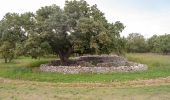 Tour Zu Fuß Toritto - (SI R08) Quasano (Toritto) - Contrada Lama d'Ape (Ruvo di Puglia) - Photo 2