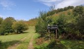 Trail Walking Larnat - Cap de la Lesse - Photo 15