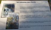 Randonnée Marche Châtel-en-Trièves - tour de la forêt domaniale de Chatel - Photo 9