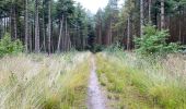 Trail Walking Pelt - De Wulp Hageven Grote Heide 24 km - Photo 11
