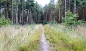 Tocht Stappen Pelt - De Wulp Hageven Grote Heide 24 km - Photo 11