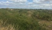 Excursión Senderismo Tréflez - Dunes de Kerrema - Photo 3