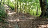 Trail Walking Rixensart - Bourgeois - Ohain - Lasne - Photo 1