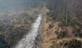 Randonnée Marche Stoumont - La gleize 14 Km - Photo 6