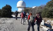 Trail Walking Gémenos - Pic de Bertagne - Photo 9