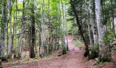 Tour Wandern Les Déserts - SityTrail - BAUGES: LA FECLAZ - CROIX DU NIVOLLET - Photo 7