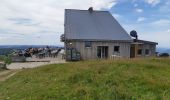 Trail Walking La Bresse - Le Hohneck et ses lacs d'altitude - Photo 5