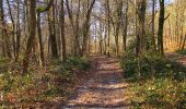 Tocht Stappen Vieux-Moulin - en forêt de Compiègne_25_les Tournantes du Mont Saint-Pierre - Photo 18