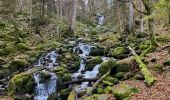 Tour Wandern Neuweiler - nateviller, champ du feu  - Photo 3