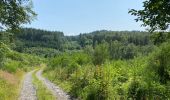 Tour Wandern Bièvre - Oizy 21 km - Photo 11