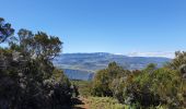 Tour Wandern Entre-Deux - Entre-Deux - Sentier Inard (boucle) - Photo 4