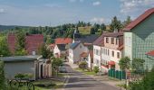 Tour Zu Fuß Tambach-Dietharz - Gelber Balken - Photo 4