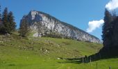 Tocht Stappen Entremont-le-Vieux - Sommet Pinet à partir de la Balme - Photo 1