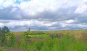 Randonnée Marche Esneux - autour du parc du Mary - variante  - Photo 12