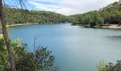 Excursión Senderismo Carcès - Promenade Chutes du Caramy et lac de Carcès  - Photo 3