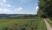 Tour Wandern Rendeux - Hodister mini boucle - Photo 2