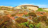 Tour Wandern Calvi - Boucle Croix des Balkans - Phare de Revellata - Notre dame de la Sierra - Photo 15