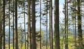 Tour Wandern Houyet - Houyet - Photo 9