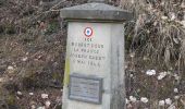Trail Walking Puget-Théniers - La villa du Collet - Puget Theniers La Penne via la baisse de Roccaforte - Photo 3